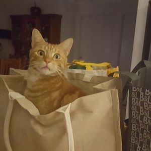 Meet your Posher, Barbara